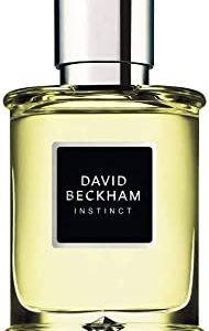 David Beckham Instinct Eau de Toilette, Uomo, 30 ml